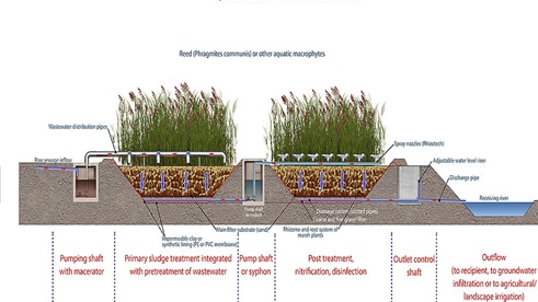 constructed wetlands diagram