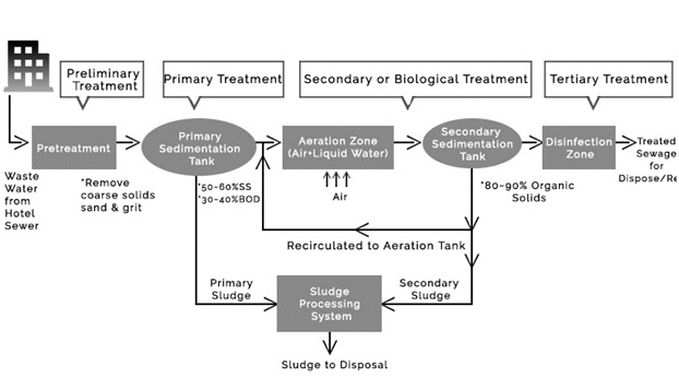 what-is-stp-in-hotel-industry