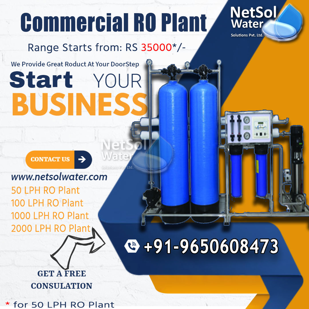 Commercial RO Plant Manufacturer: Netsol Water, 100 lph - 2000 lph