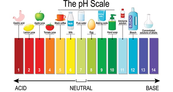 15 Mind-blowing Facts About PH Scale 